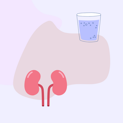 The Role of Water Filtration in Managing Kidney Health