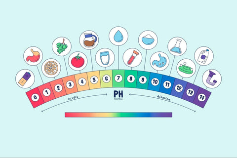 How pH Levels Affect the Quality and Safety of Drinking Water